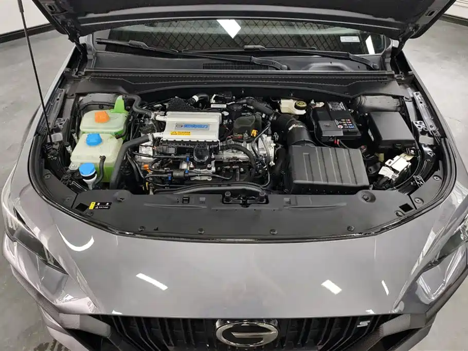 Trumpchi Shadow Leopard