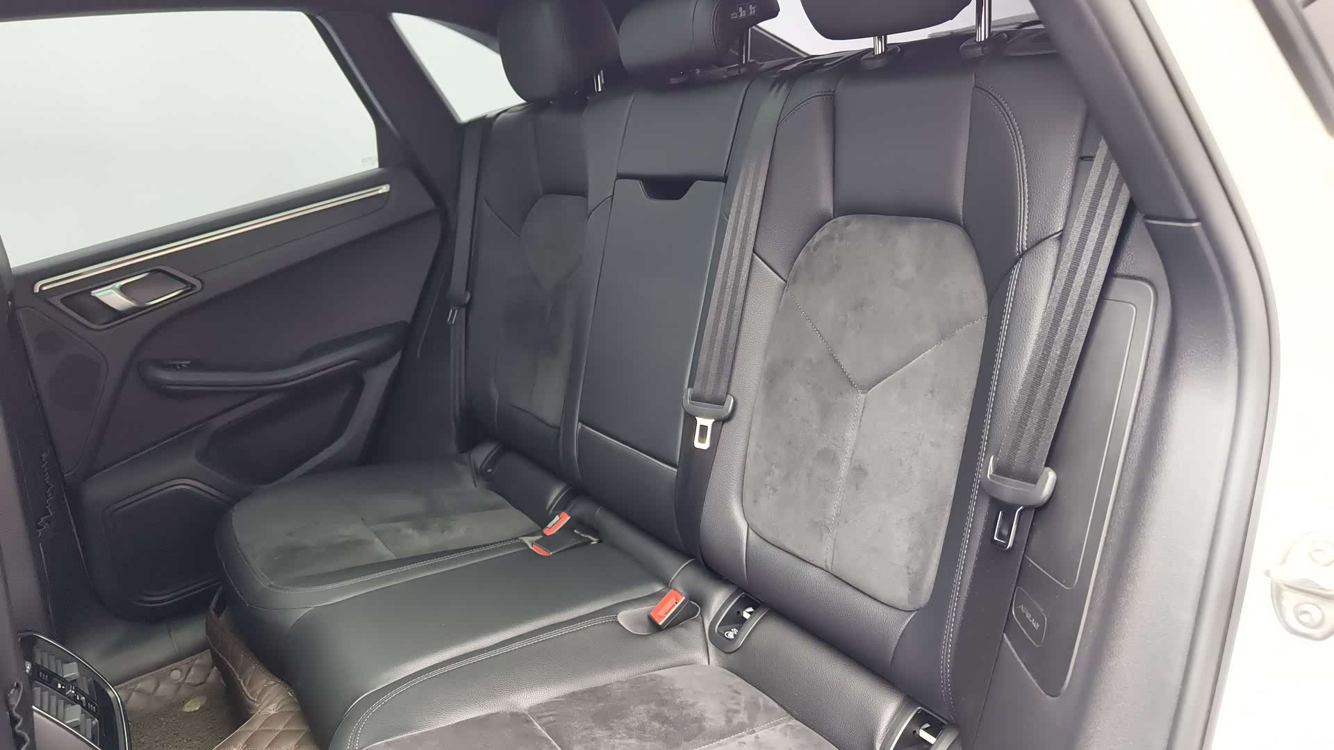 Macan Macan, 2020 12