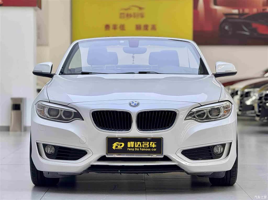 BMW 2 Series, 2016 4