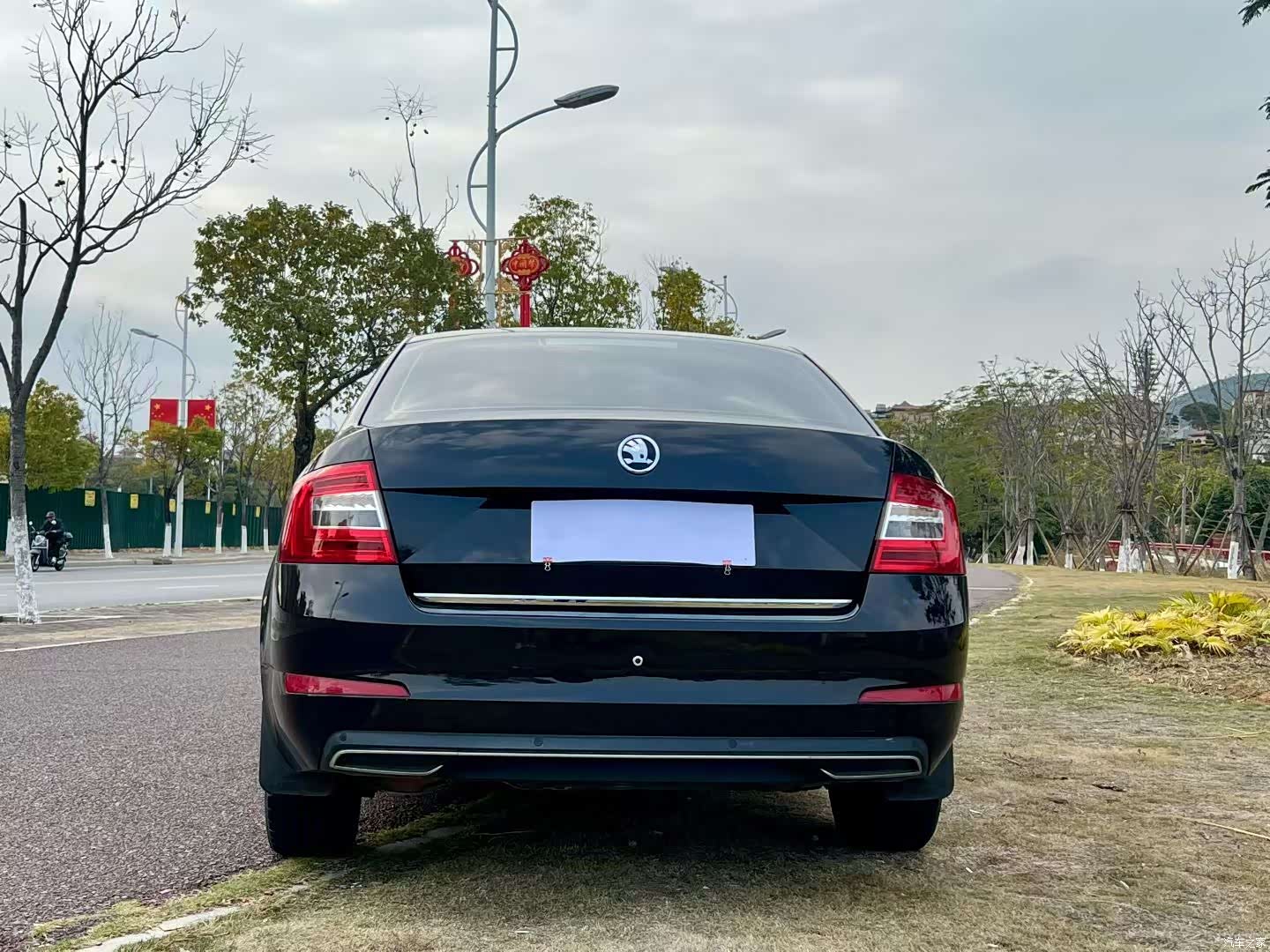 Skoda Octavia, 2016 все фото