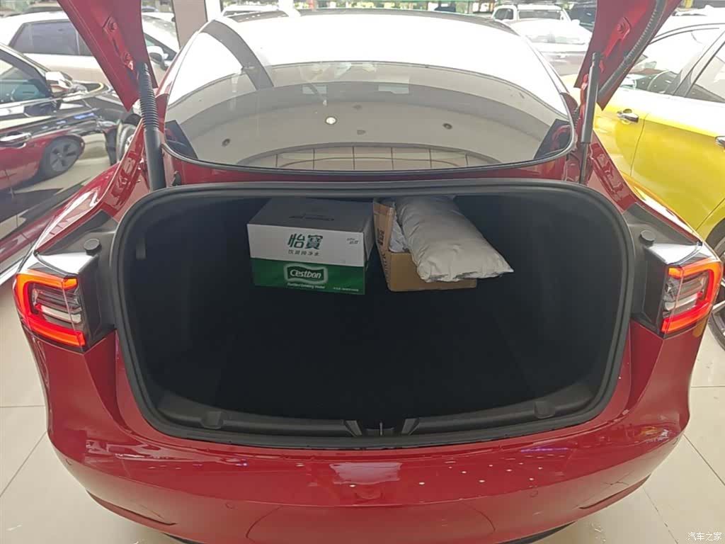 Tesla Model 3, 2021 19