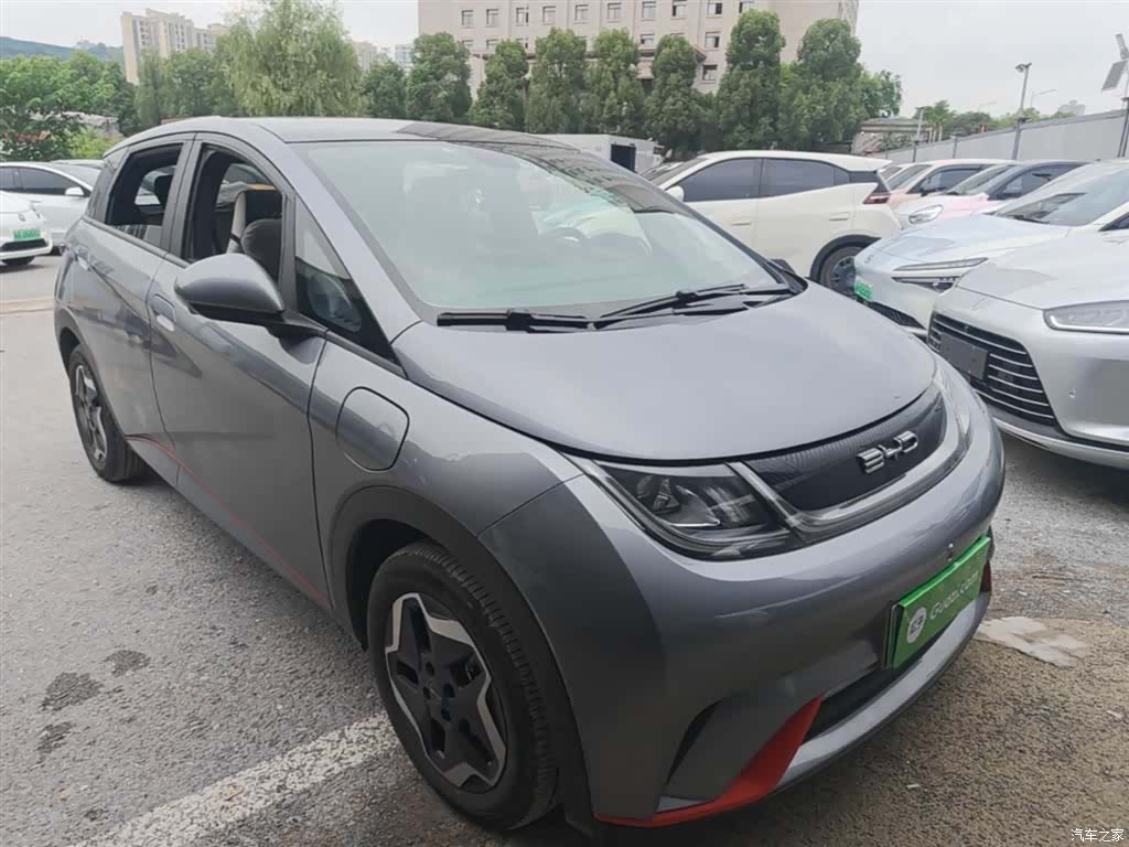 BYD Dolphin, 2022 4