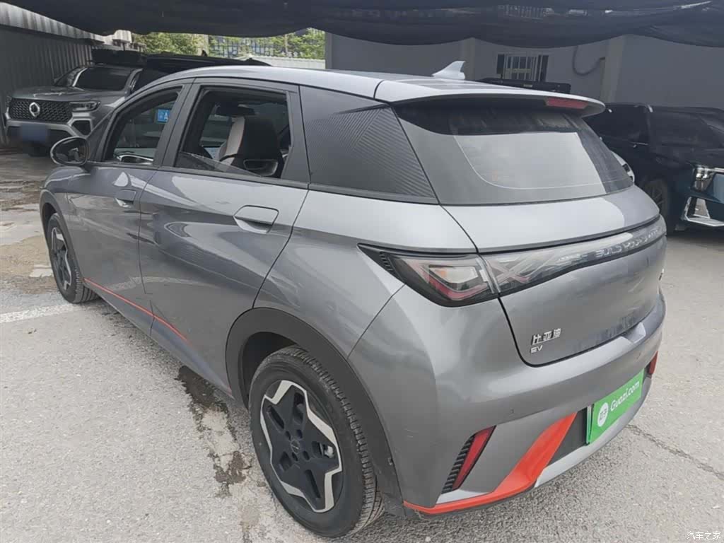 BYD Dolphin, 2022 все фото