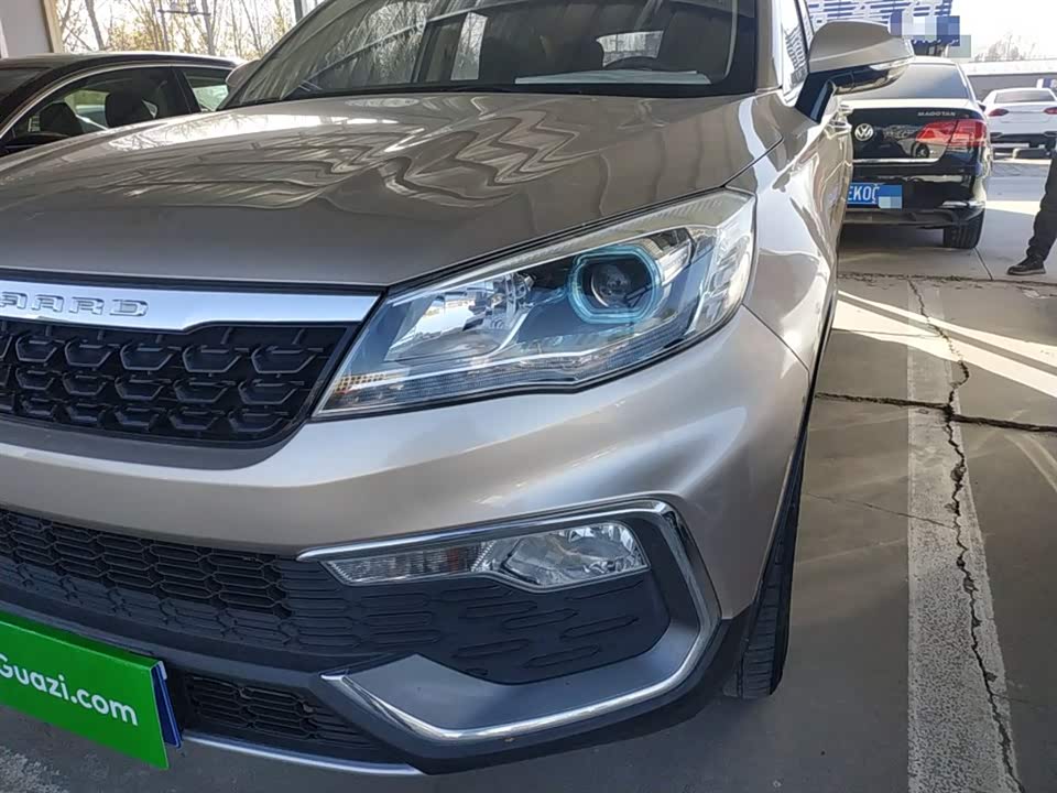 Leopaard Cheetah CS9