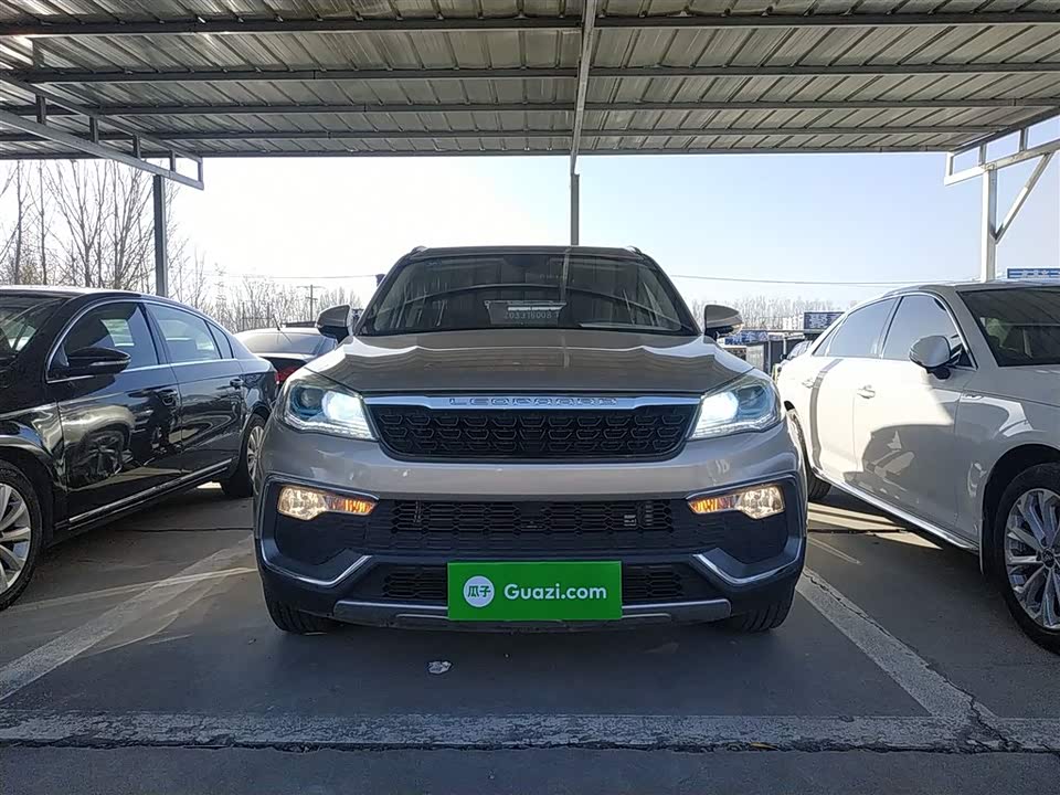 Leopaard Cheetah CS9