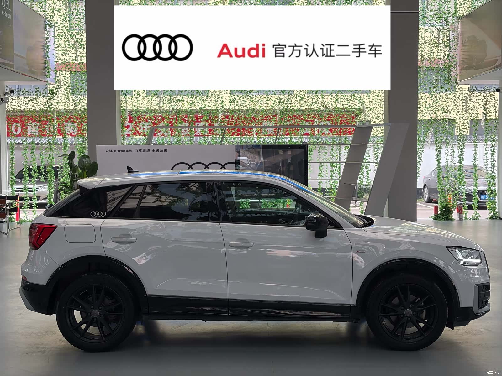 Audi Q2L, 2021 все фото