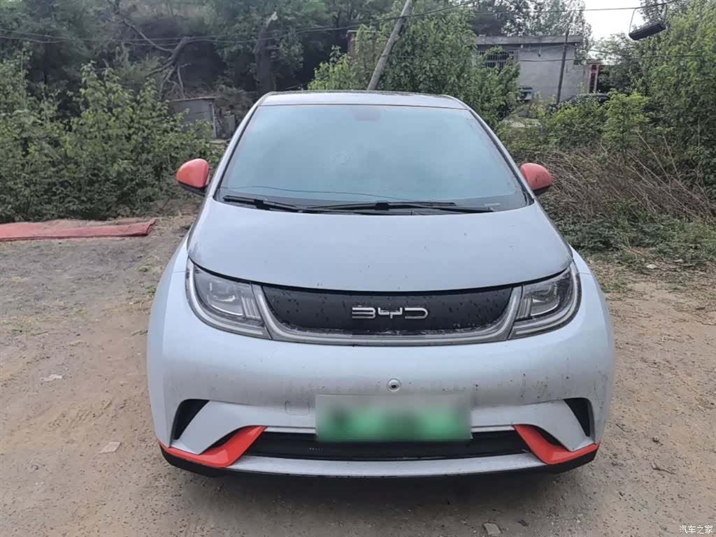 BYD Dolphin, 2021 3