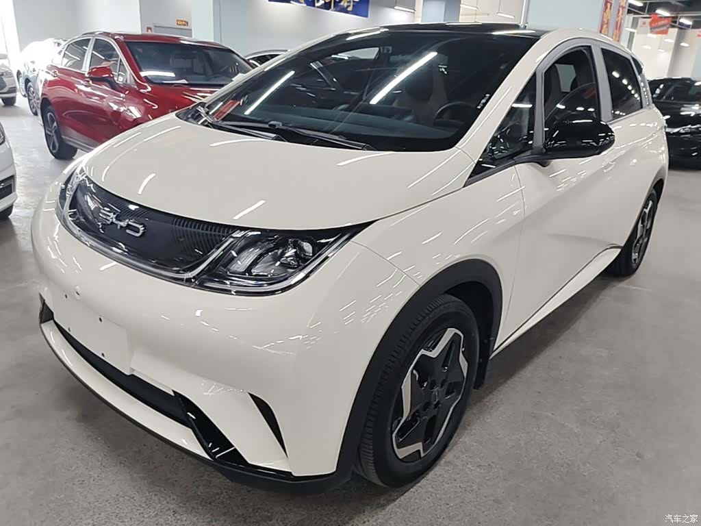 BYD Dolphin, 2023 1