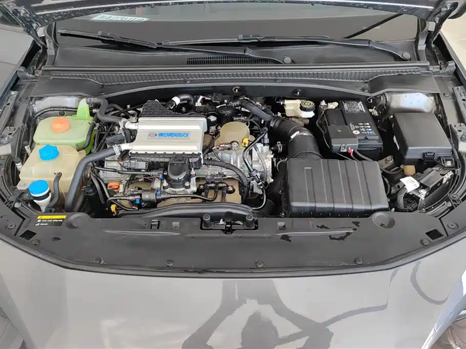 Trumpchi Shadow Leopard