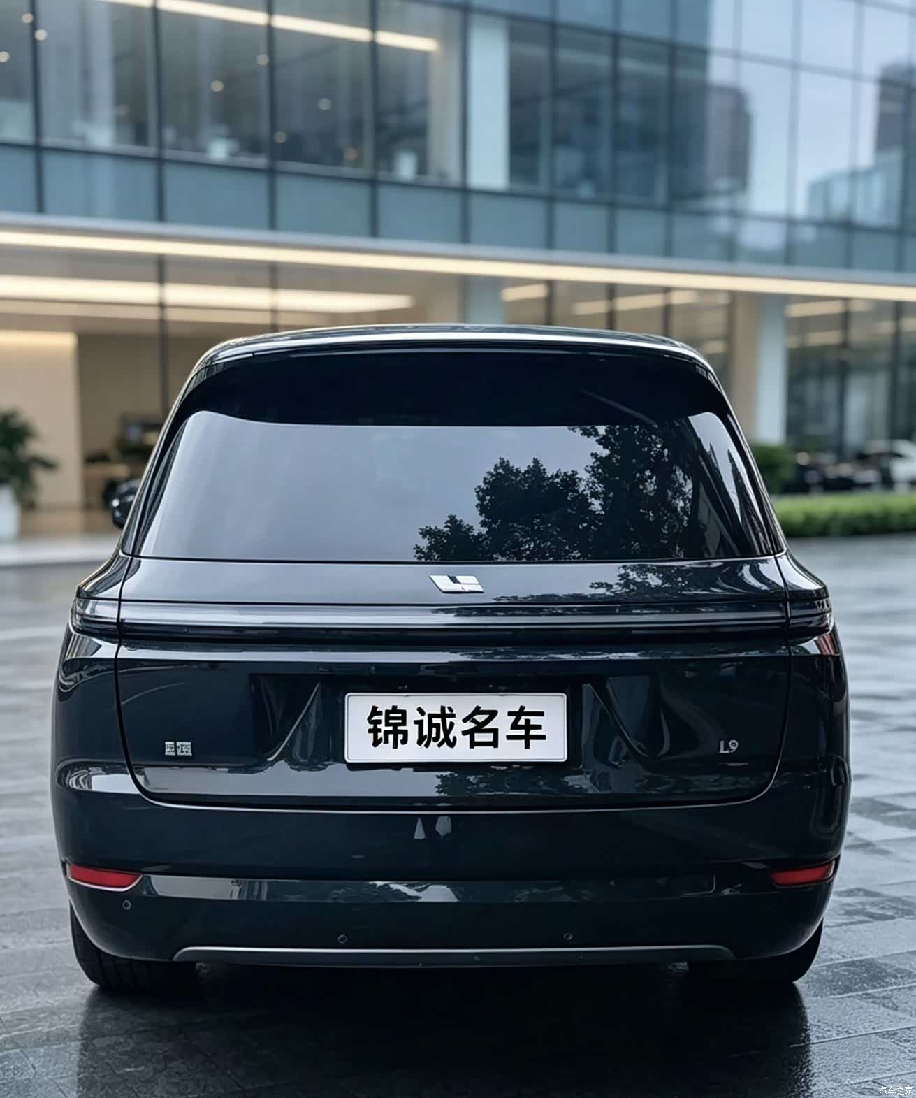 Li Auto L9, 2024 2