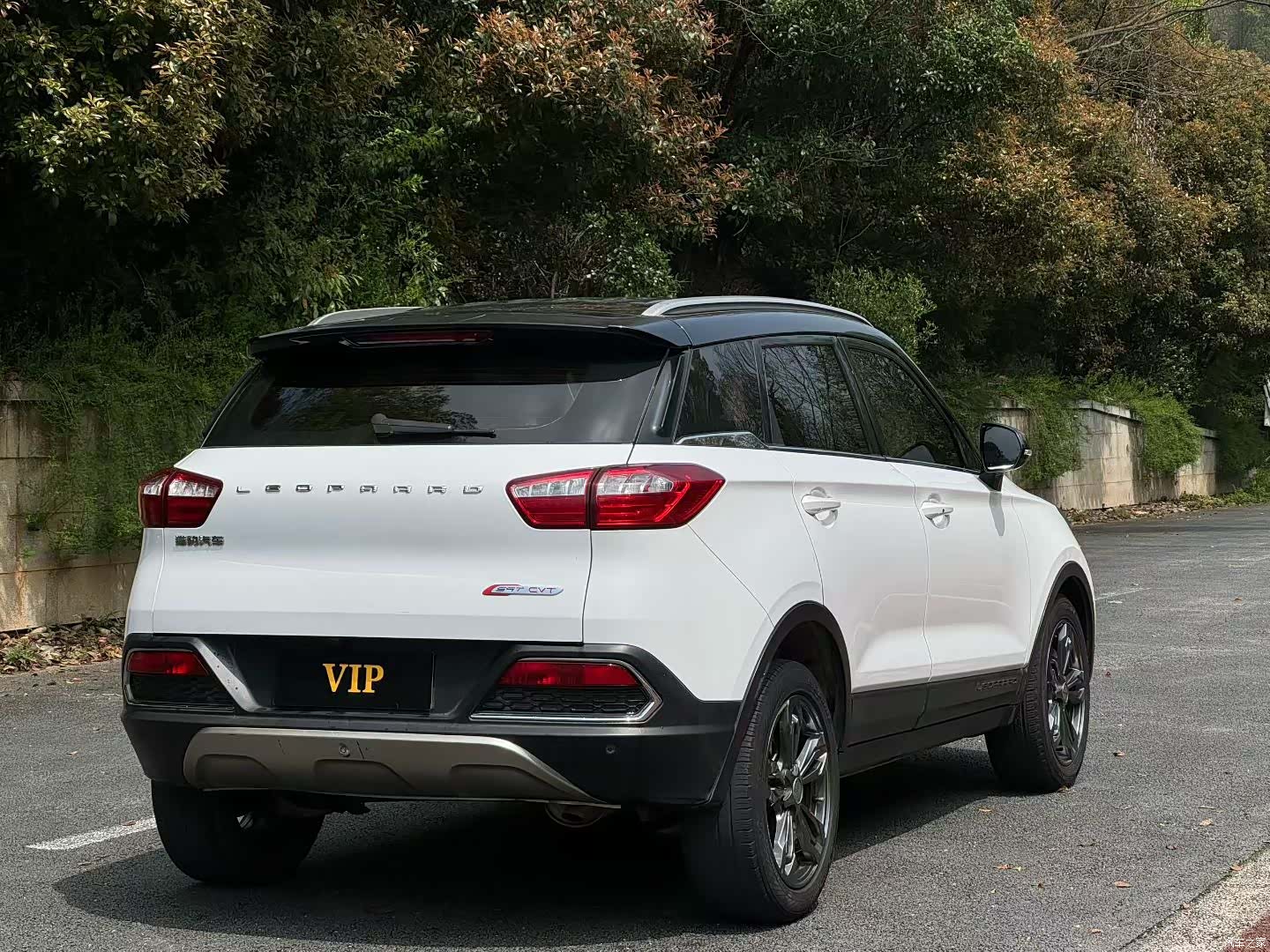 Liebao CS9, 2019 6