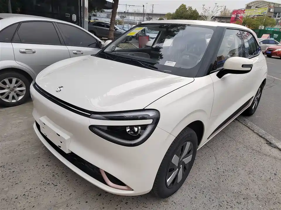 Dongfeng Nammi Nano 01