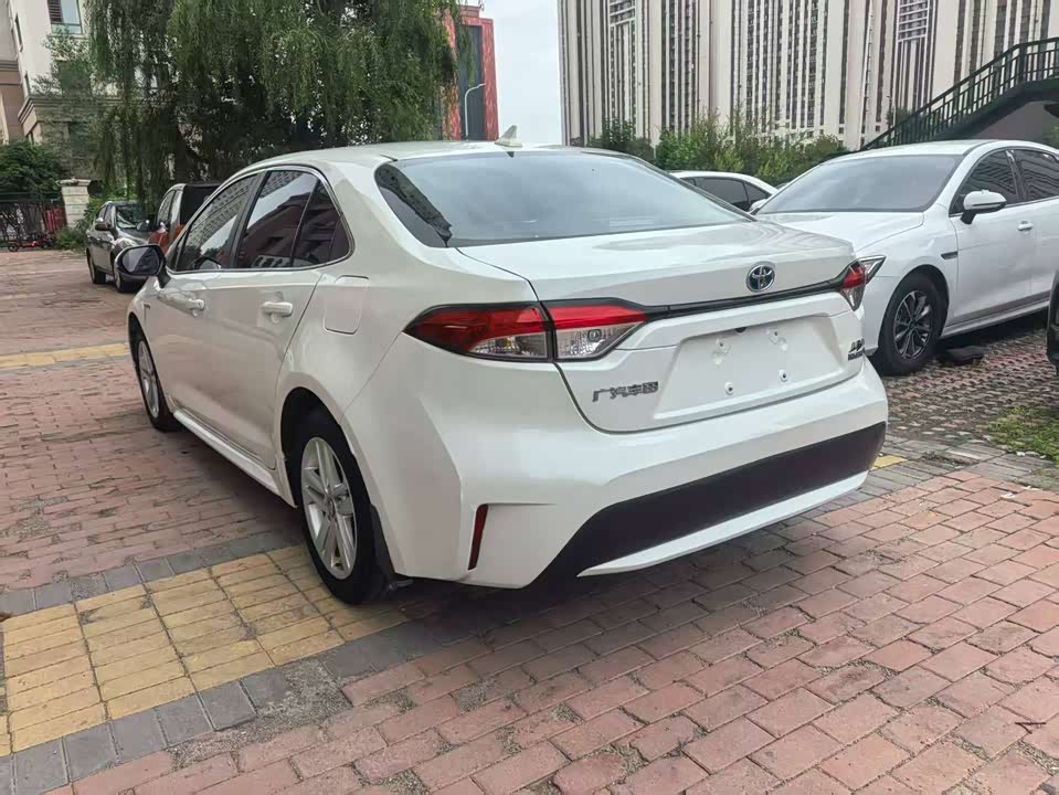 Toyota Lei Ling