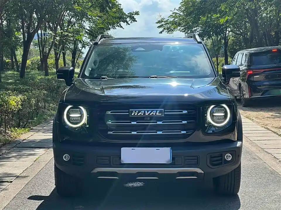 Haval Big dog