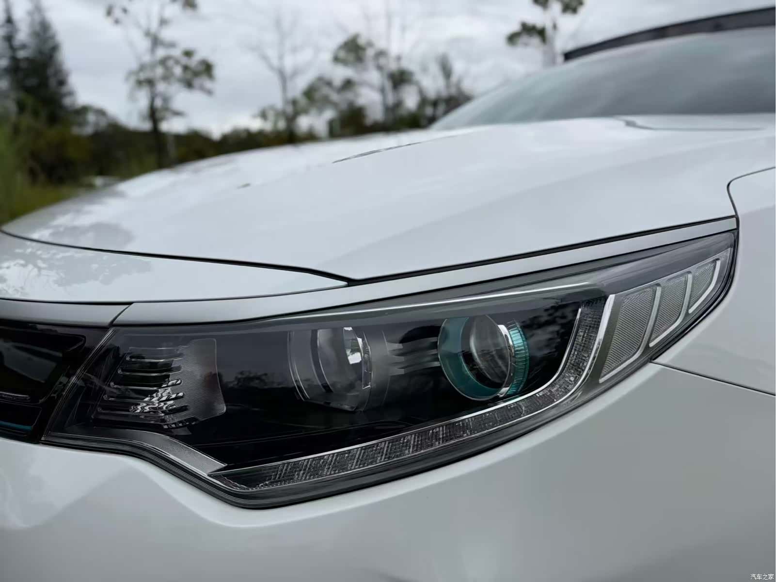 Kia K5, 2019 11