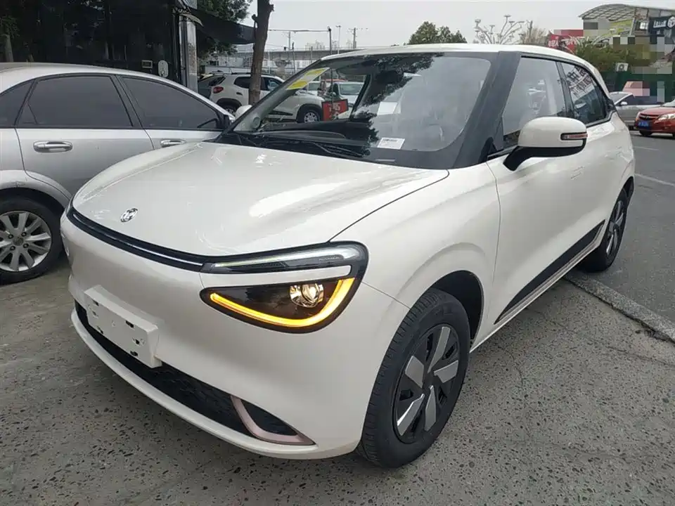 Dongfeng Nammi Nano 01