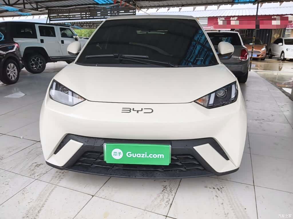 BYD Seagull, 2025 3