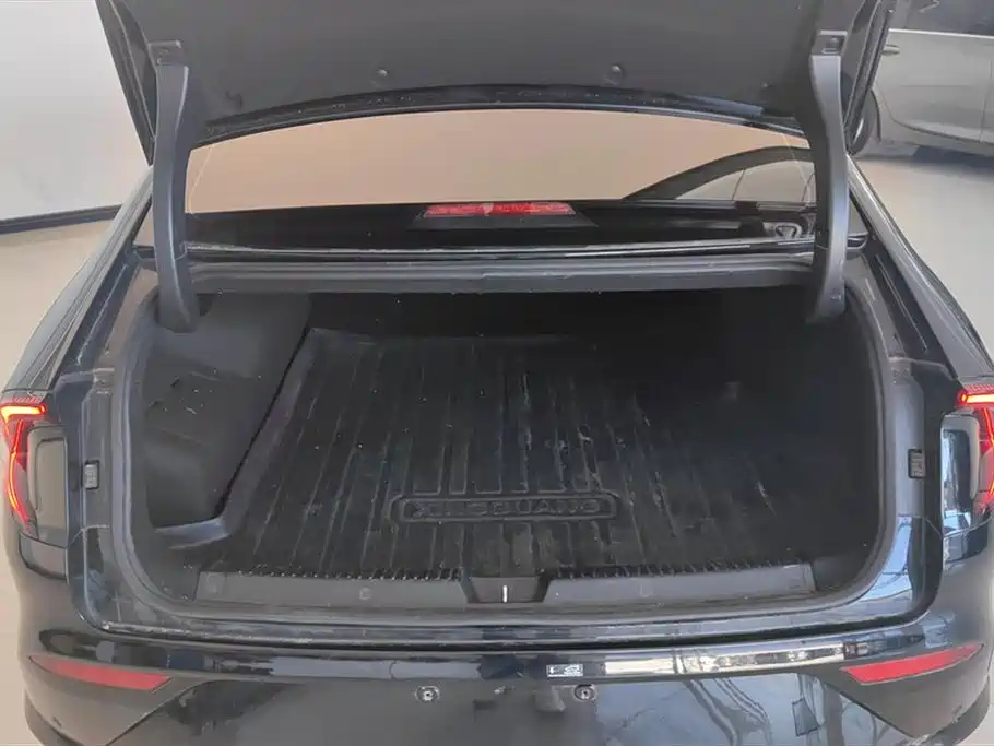 Wuling Wuling Starlight