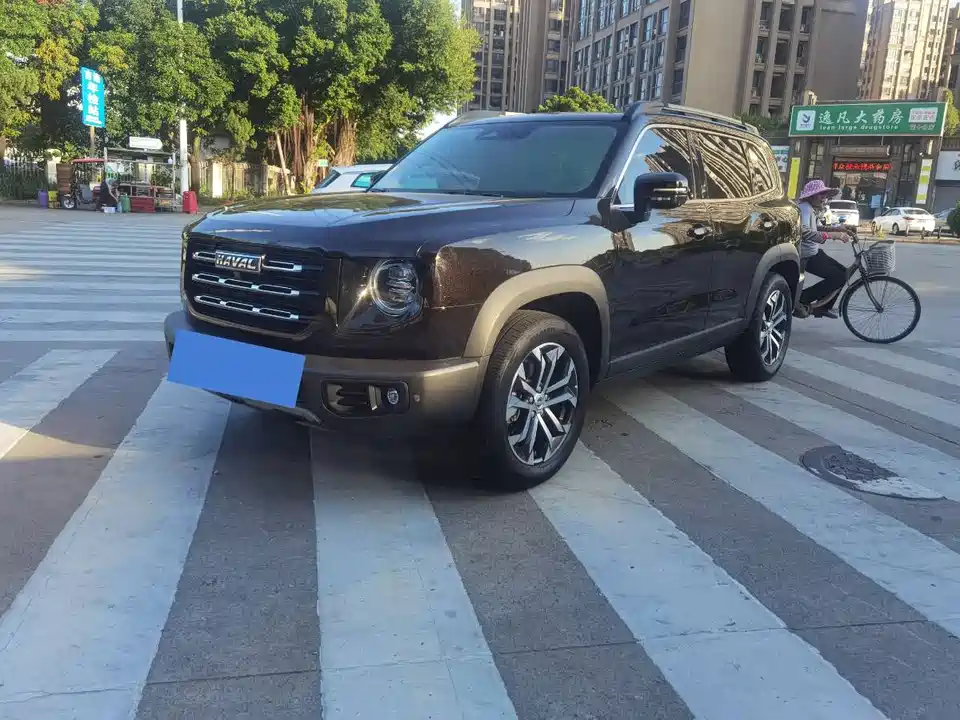 Haval Big dog