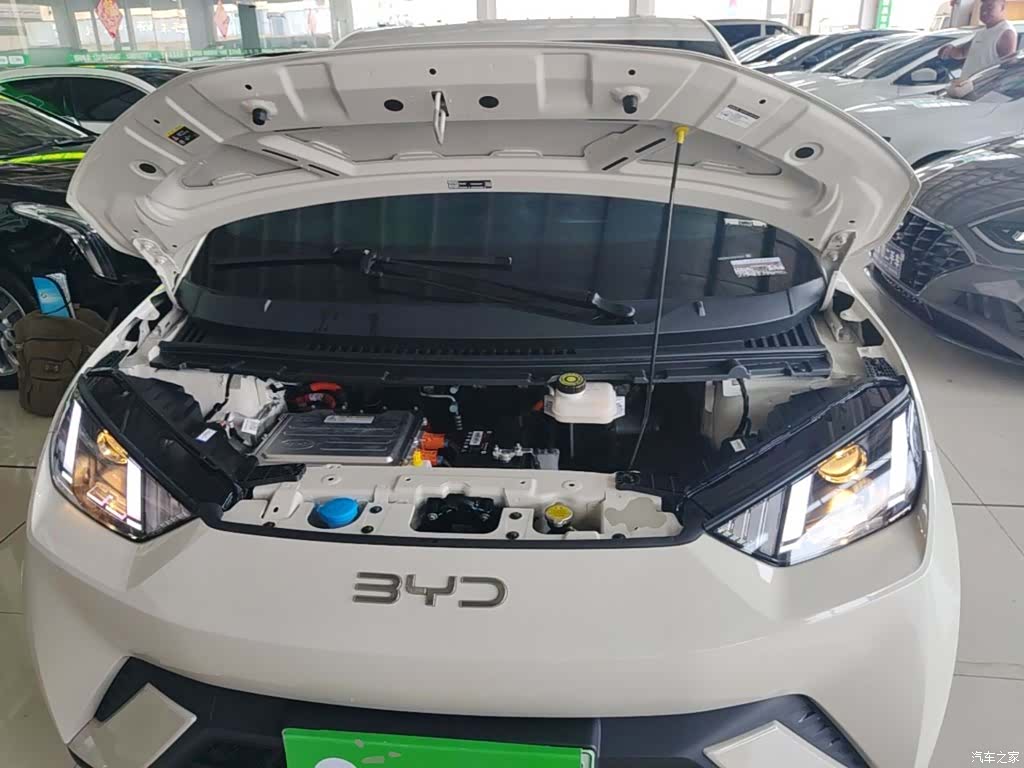 BYD Seagull, 2024 19