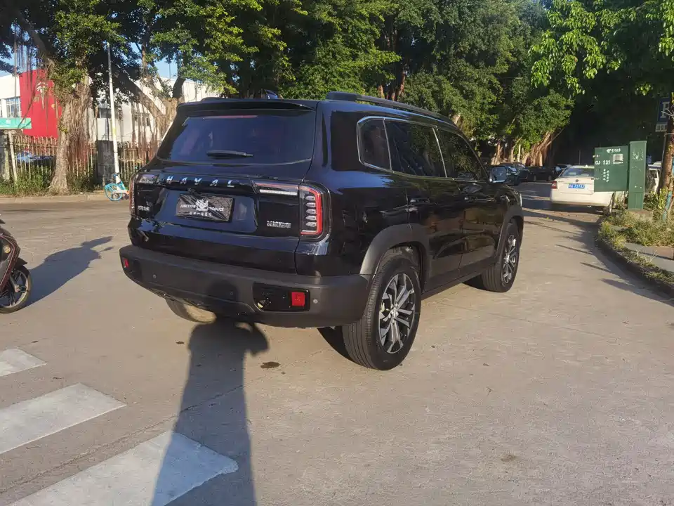 Haval Big dog