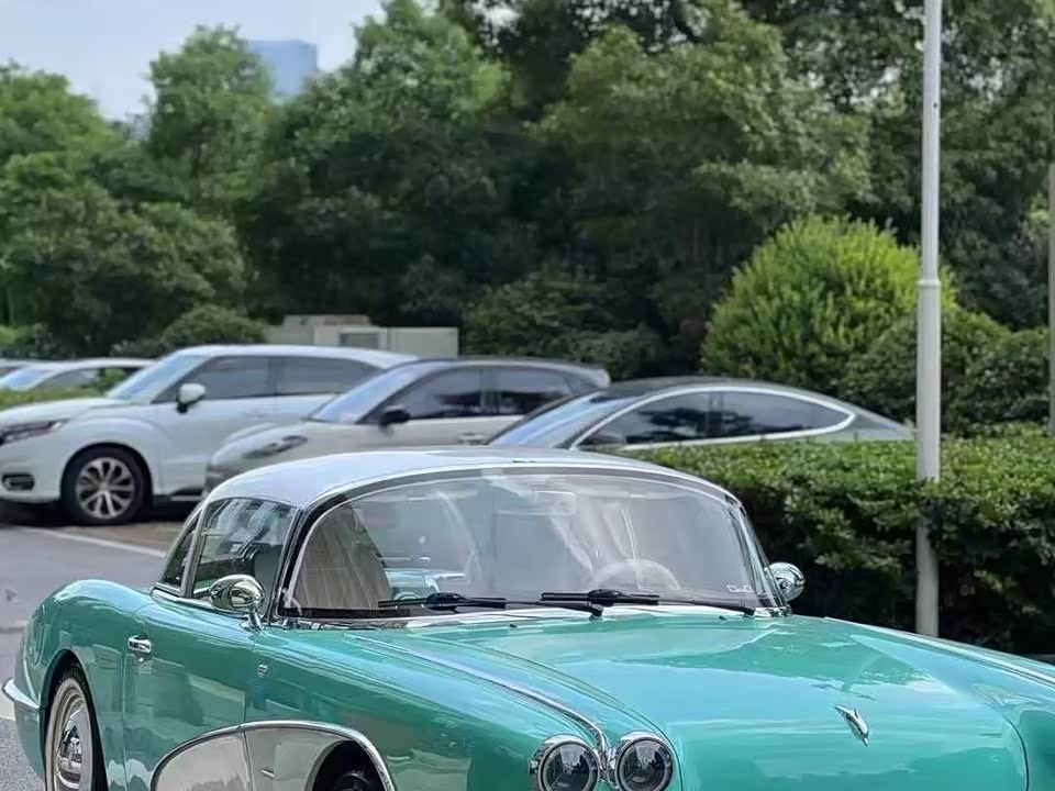 SsangYong SS DOLPHIN