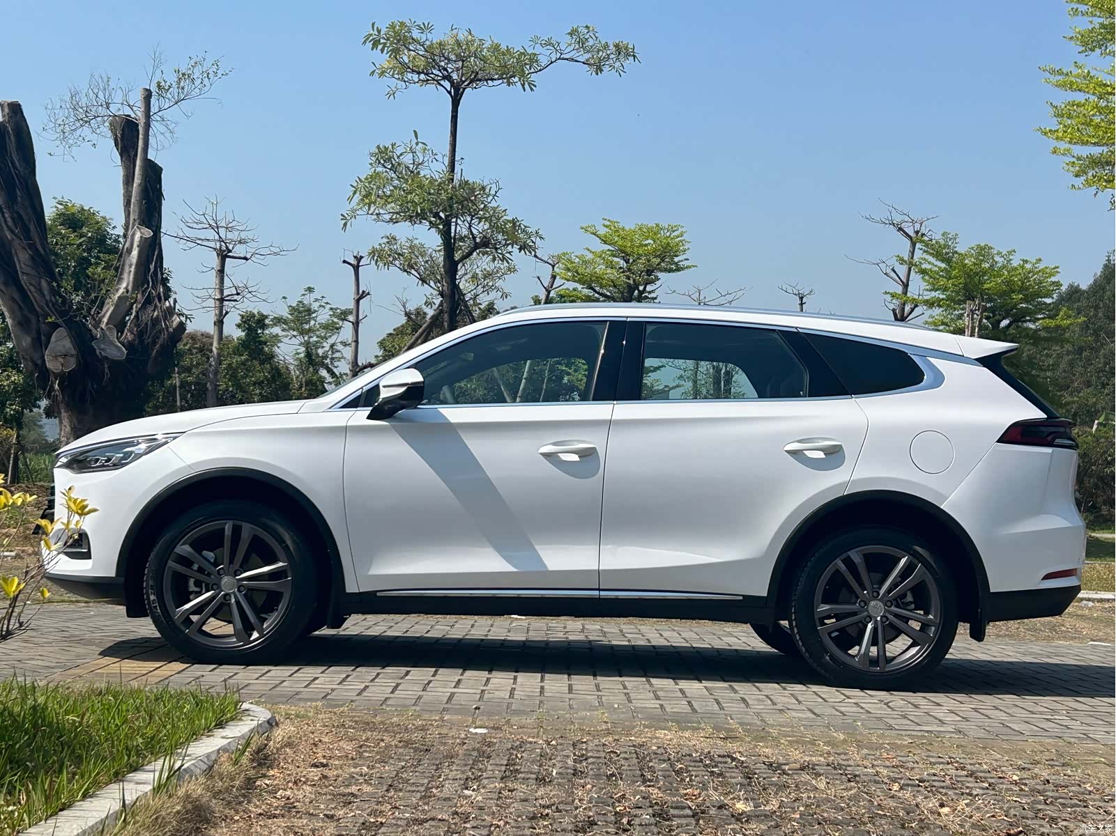 BYD Tang, 2021 все фото