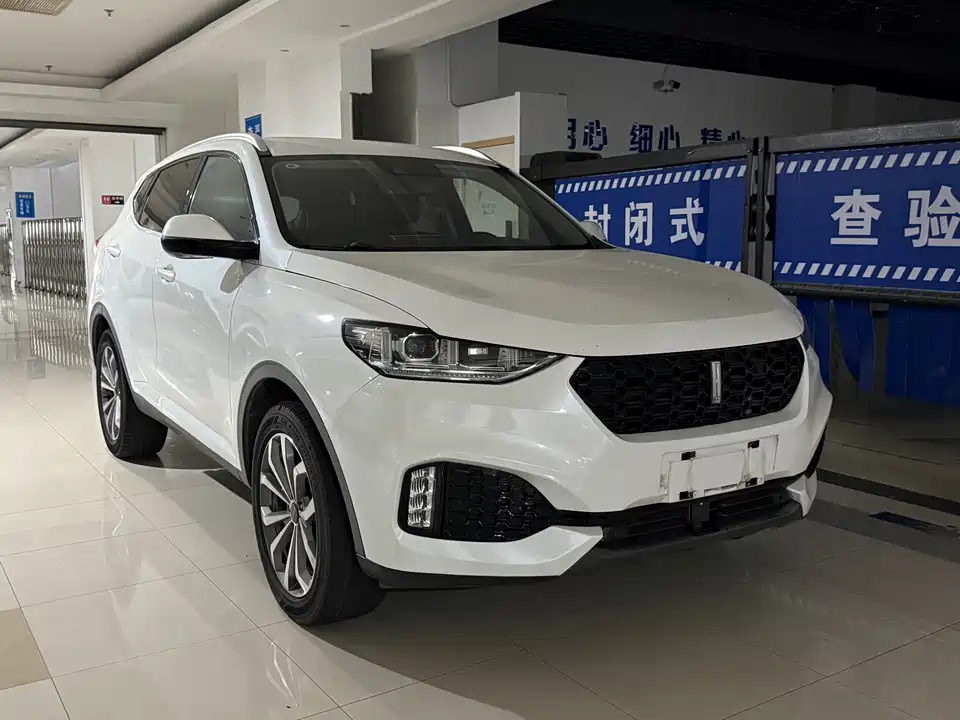 Weipai VV6