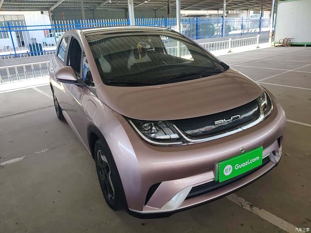 BYD Dolphin, 2022 4