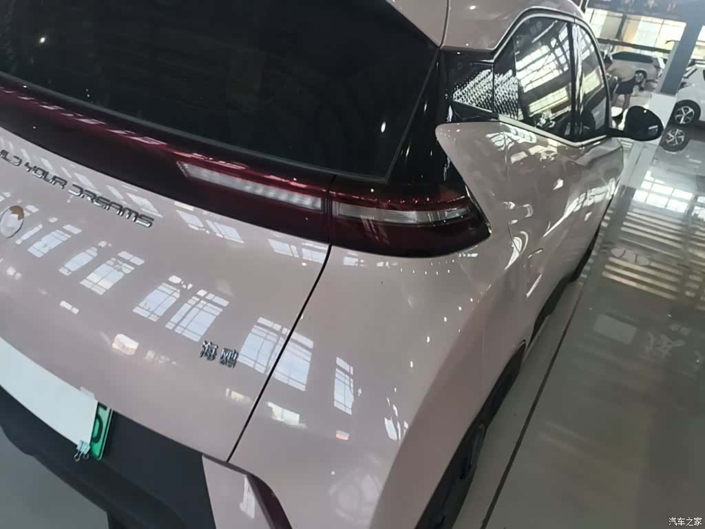 BYD Seagull, 2024 24