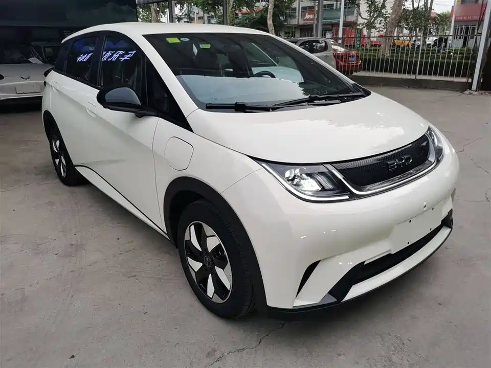 BYD dolphin
