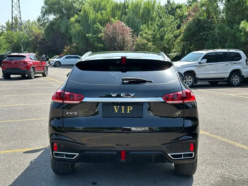 Weipai VV5