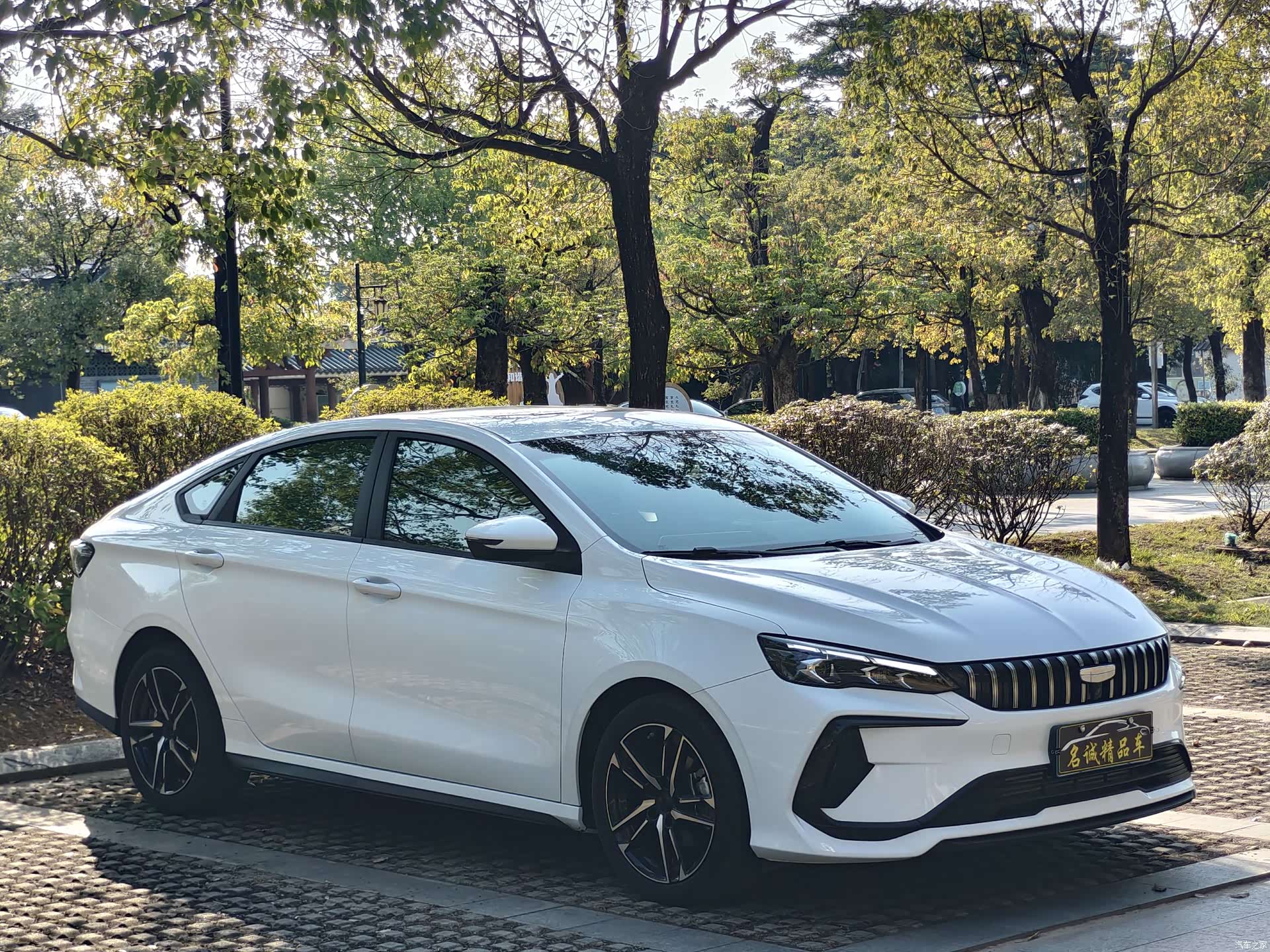 Geely Binray, 2024 3