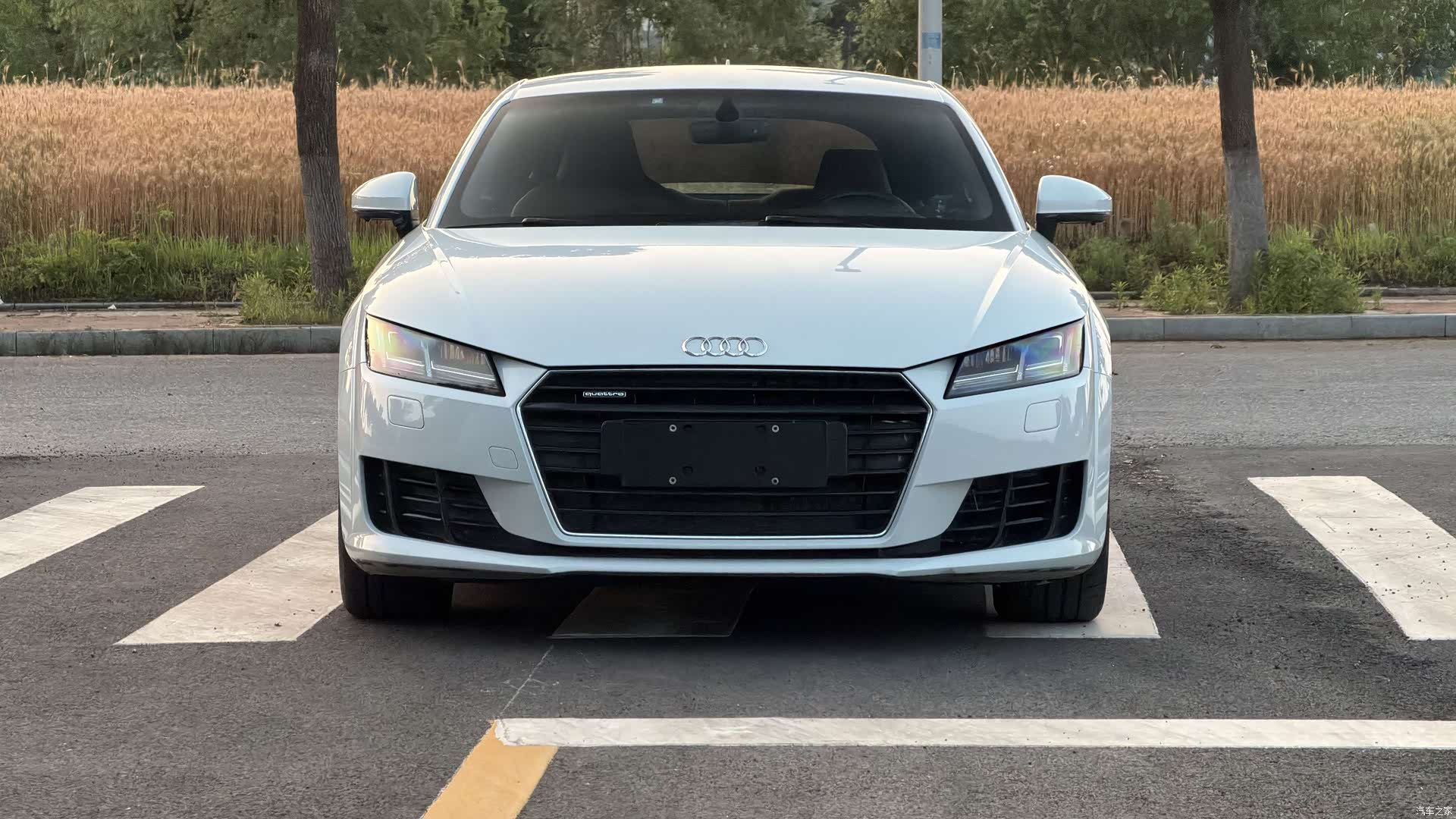 Audi TT, 2016 2