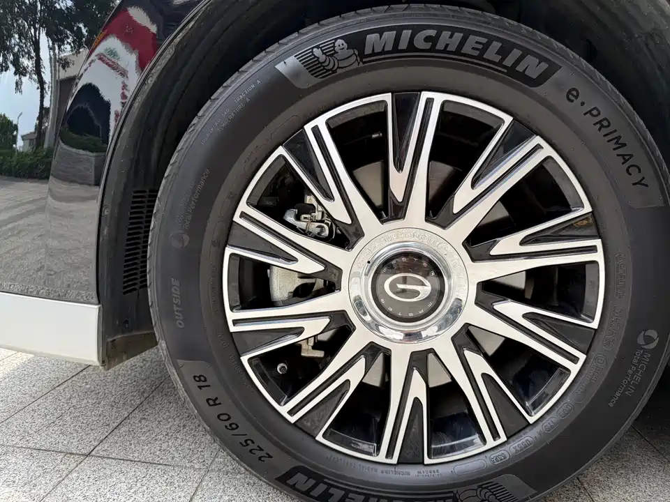 Trumpchi Trumpchi E9