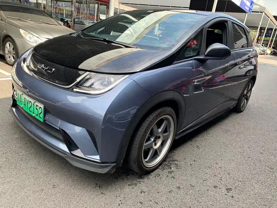 BYD dolphin