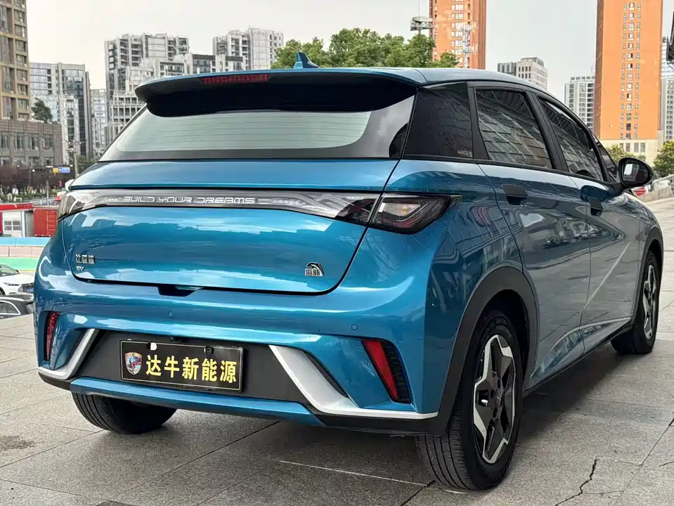 BYD dolphin
