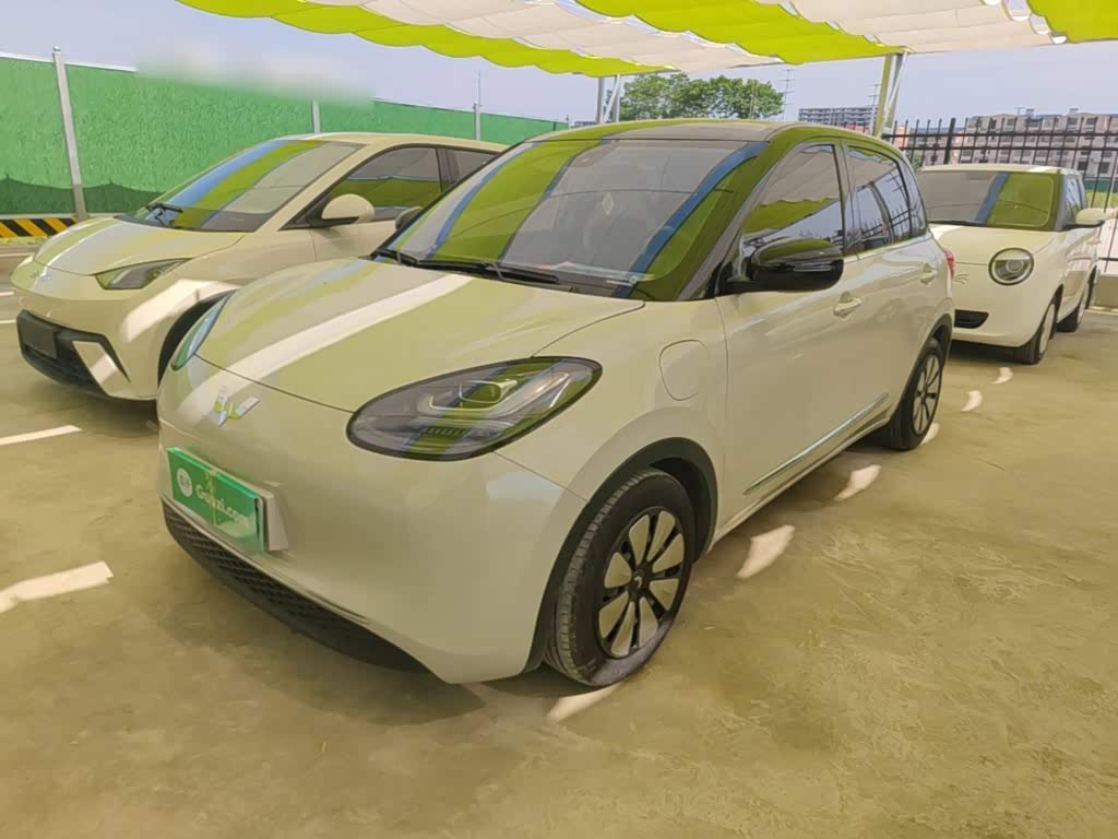 Wuling Binguo
