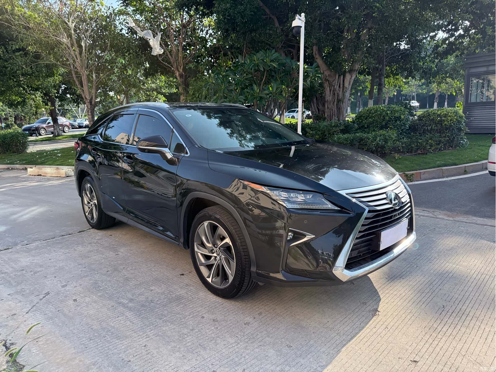 Lexus RX, 2019 2