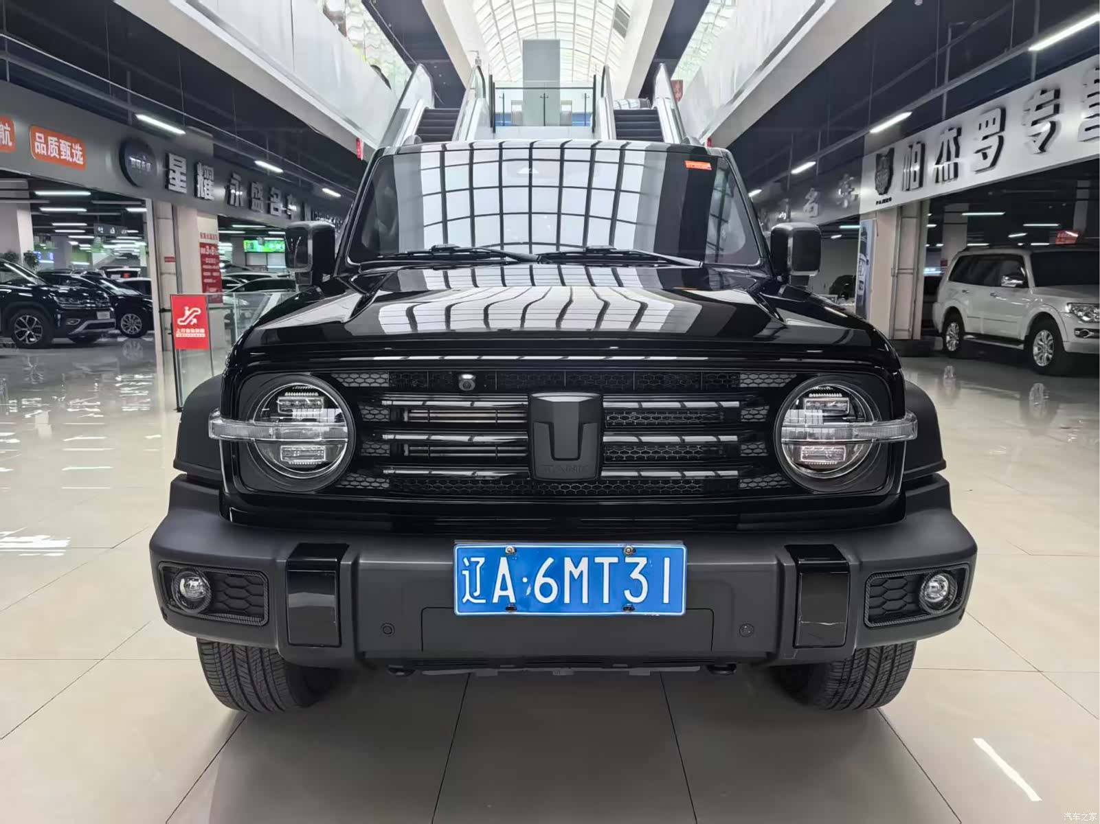 Tank 300, 2024 2