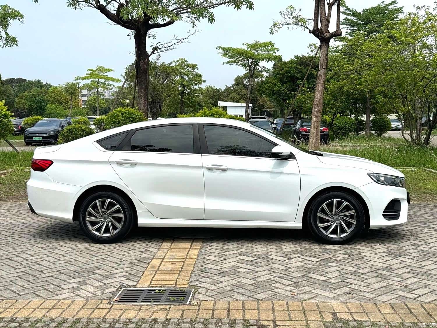 Geely Binray, 2020 4