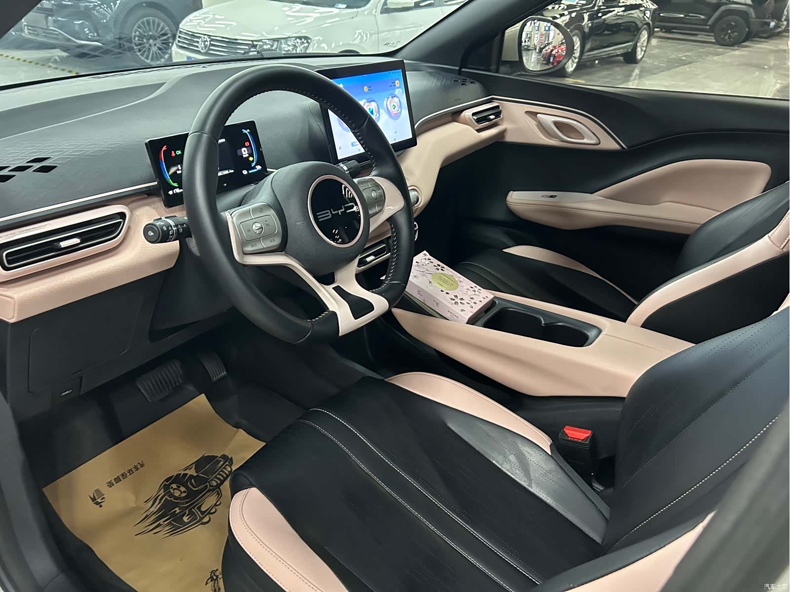 BYD Seagull, 2023 10
