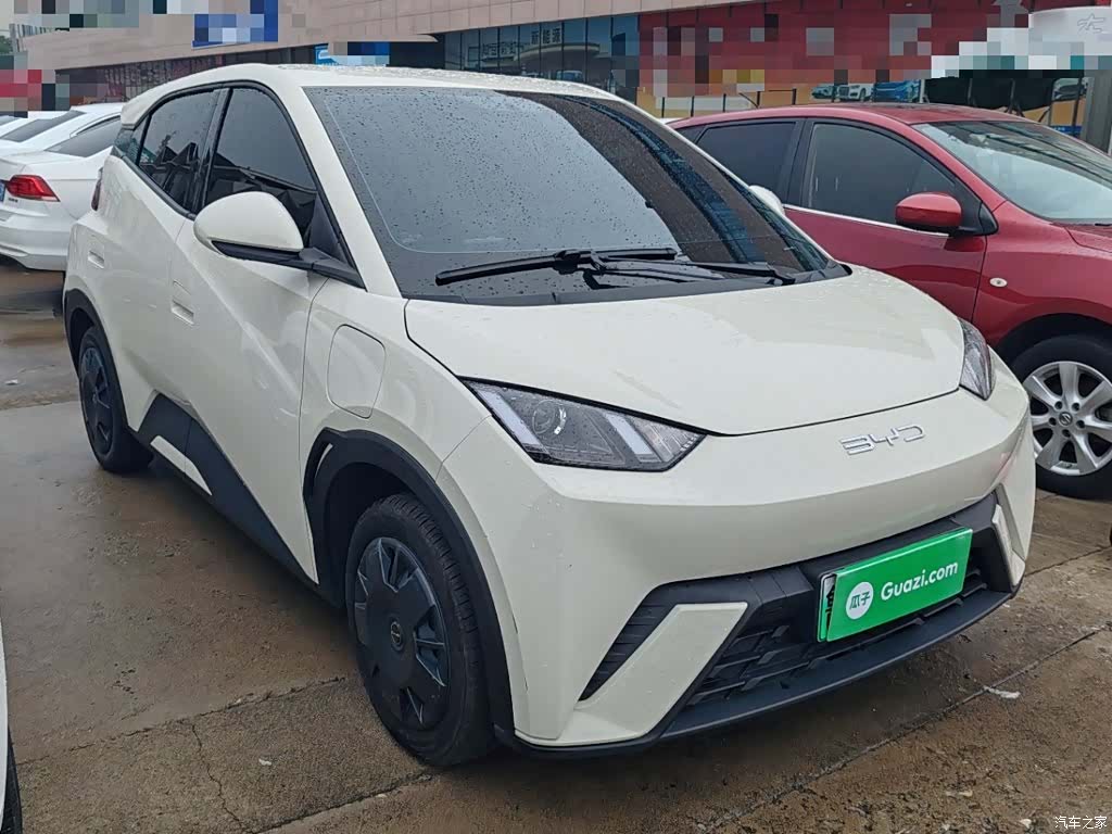 BYD Seagull, 2024 4