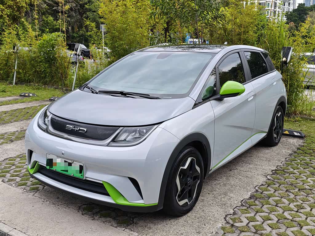 BYD Dolphin