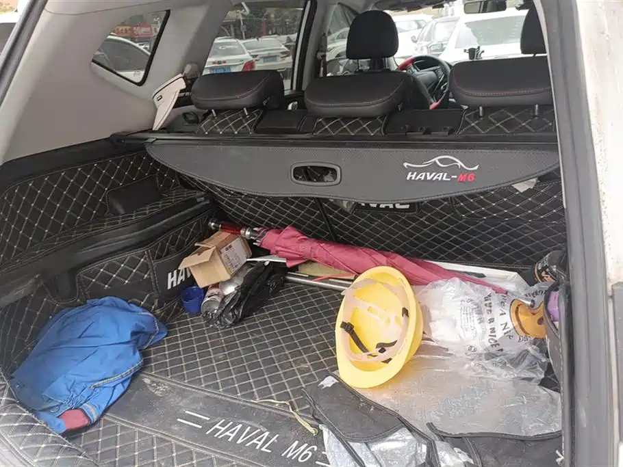 Haval M6
