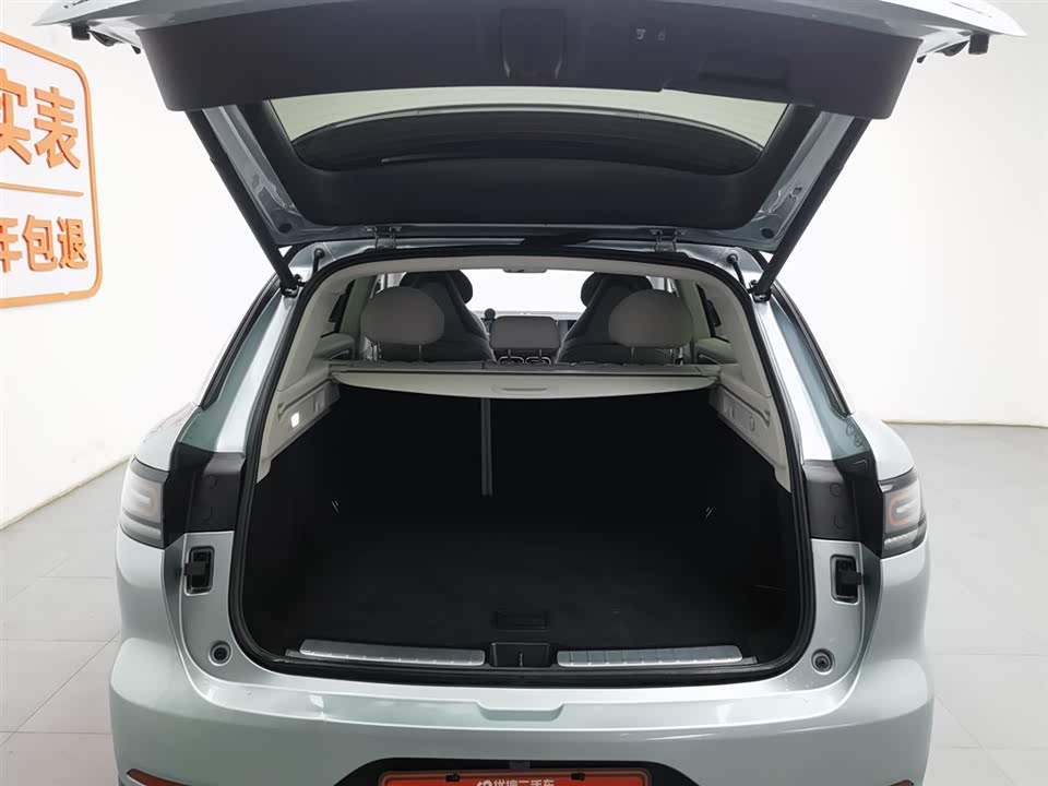 Leapmotor C11 Leapmotor C11