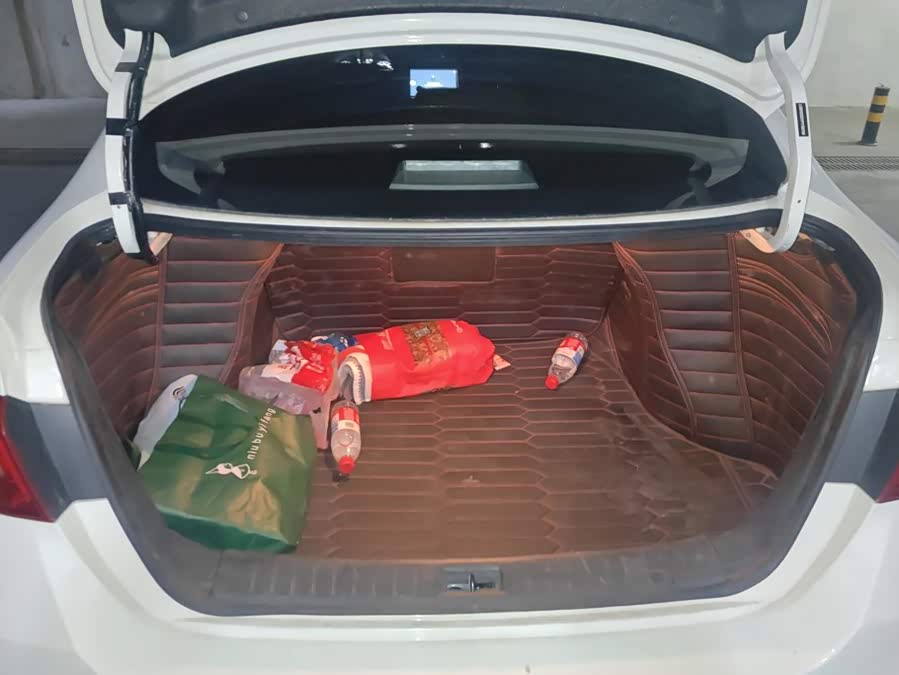 Nissan Sylphy 2023, фото 4