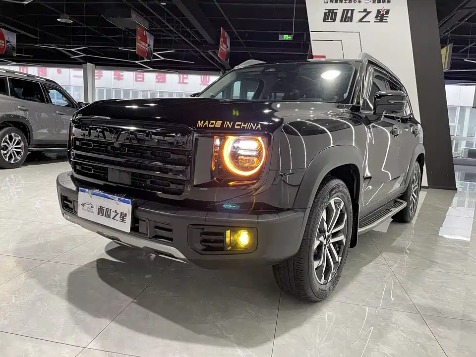 Haval Big dog