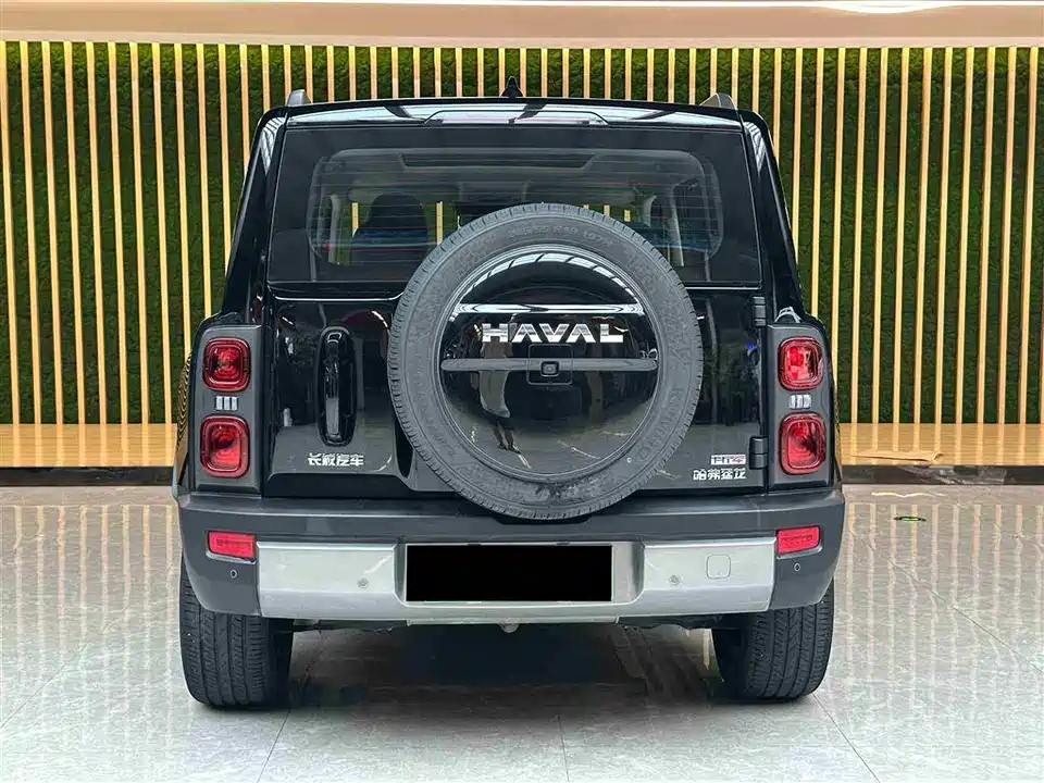 Haval Raptors