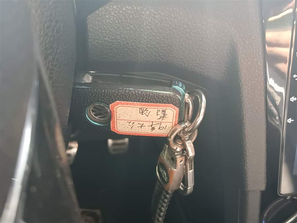 Volkswagen C-TREK Wei Collar